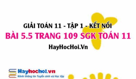 Giải bài 5.5 trang 109 Toán 11 tập 1 SGK Kết nối tri thức